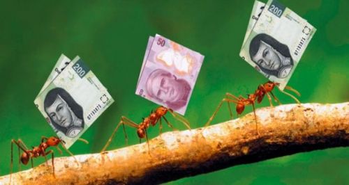 Controle los gastos hormiga, puede ahorrar hasta $14,000 anuales