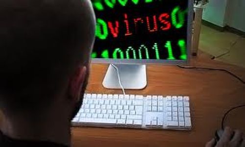 Solo el 5% de las organizaciones conf&iacute;a plenamente en sus proveedores de ciberseguridad